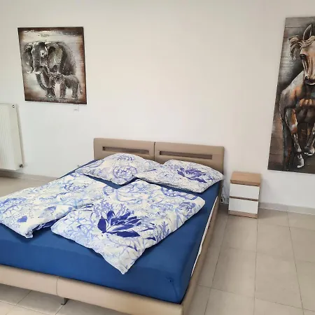 Fafa With Pool Apartamento Essen