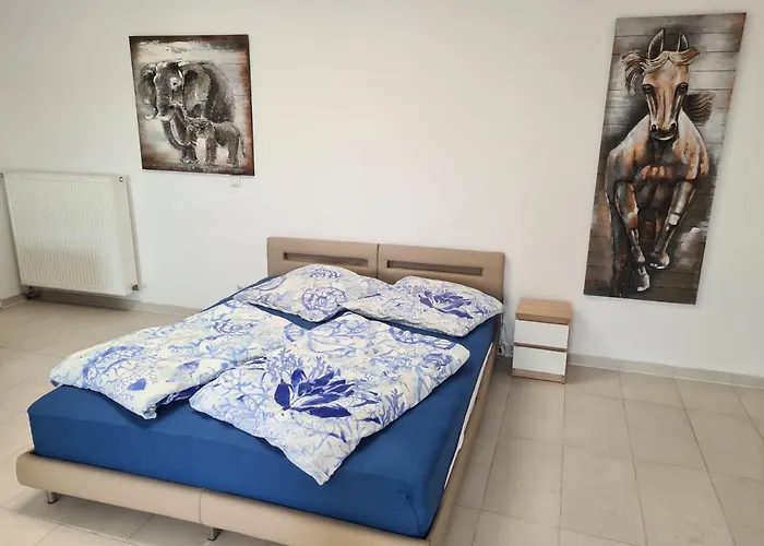 Fafa With Pool Apartment Essen